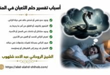 تفسير حلم الثعبان في المنام بين التحذير وحديث النفس